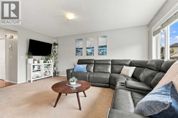 Laundry room - 115 Evansmeade Crescent Nw, Calgary, AB T3P1B9 Photo 5
