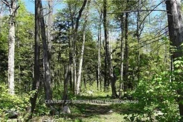 115 Nippissing Ridge Road, Tiny, ON, photo 2