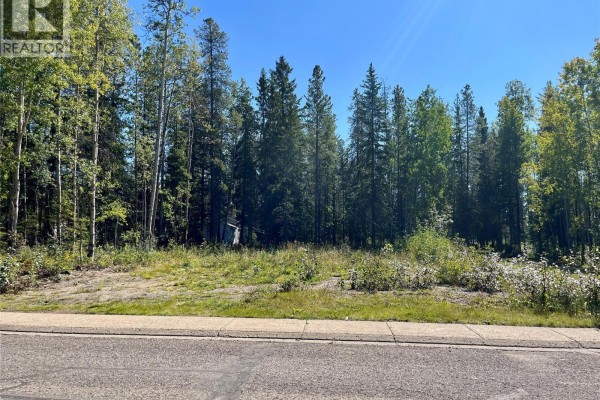 115 Red Willow Avenue, Tumbler Ridge