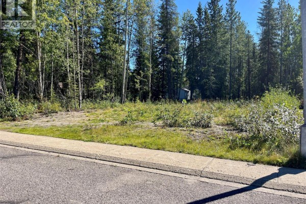 115 Red Willow Avenue, Tumbler Ridge, BC V0C2W0 Photo 2