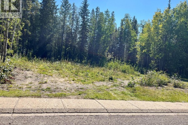 115 Red Willow Avenue, Tumbler Ridge, BC V0C2W0 Photo 3