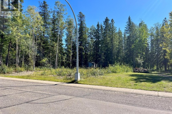 115 Red Willow Avenue, Tumbler Ridge, BC V0C2W0 Photo 4