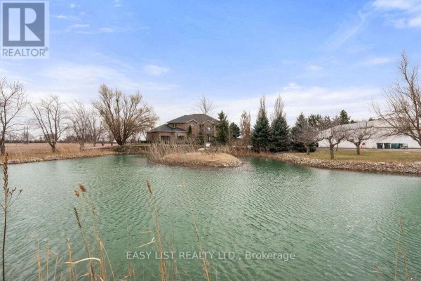 115 Road 4 Road E, Kingsville, ON N9Y2E5 Photo 4