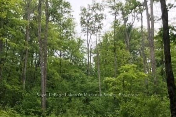 1154 Delia Road, Bracebridge, ON, photo 2