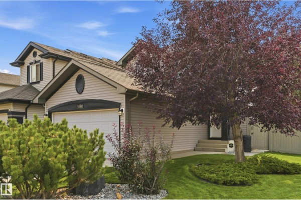 Kitchen - 11543 11 Av Sw, Edmonton, AB T6W1W8 Photo 3