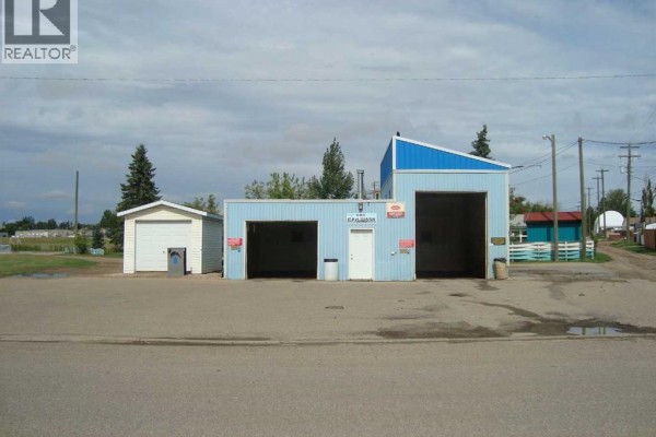 116 1st Avenue, Trochu, AB T0M2C0 Photo 2