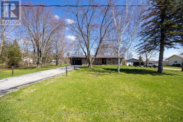 Kitchen - 116 Beach Road, Kawartha Lakes, ON K0M2C0 Photo 2