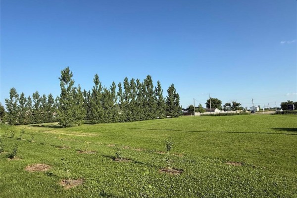 116 First Avenue, Lowe Farm, MB, photo 3