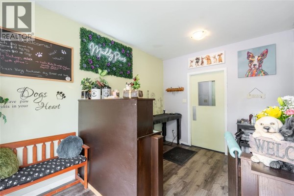 Reception area with a wooden desk, bench, and decorative dog-themed wall art. - 116 Mitton Street North, Sarnia