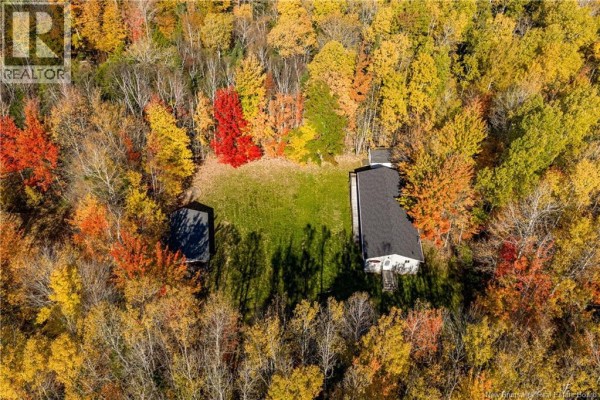 Kitchen - 116 Teed Road, Notre Dame, NB E4V2L9 Photo 5