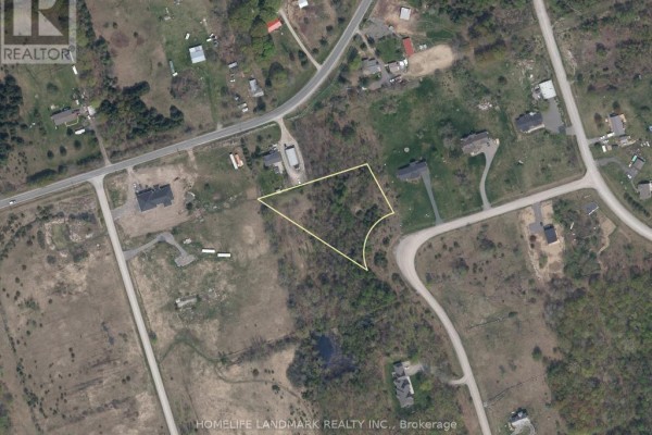 116 Viewmount Avenue, Trent Hills, ON K0L2Z0 Photo 4