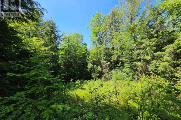 1160 Balmer Road, North Kawartha, ON K0L1A0 Photo 5