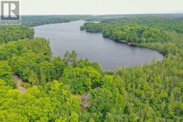 1160 Butterfly Road, Muskoka Lakes, ON P0B1J0 Photo 5