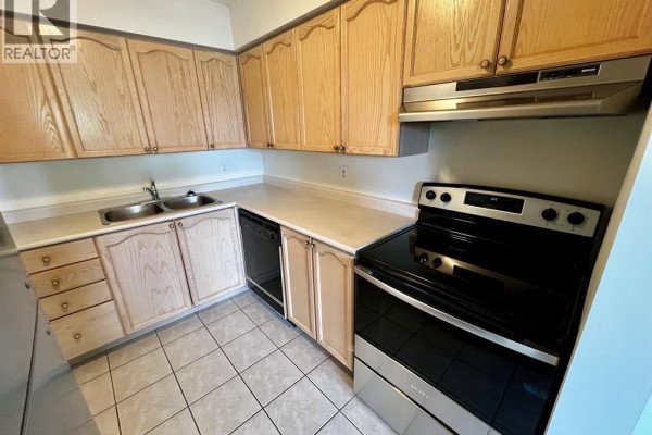 Storage - 1160 Lauzon Unit# 401, Windsor, ON N8S4T1 Photo 5