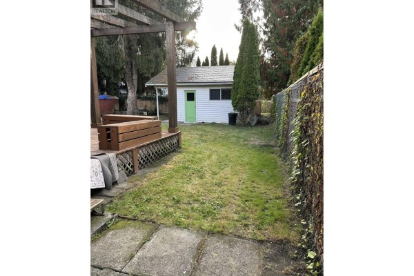 Backyard view showing a grassy area, a white shed with a green door, and a chain-link fence. - 11645 Steeves Street, Maple Ridge
