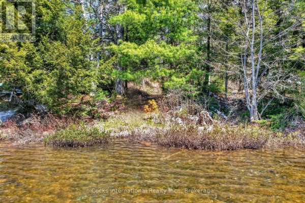 1165 Spring Lake Road, Bracebridge, ON, photo 3