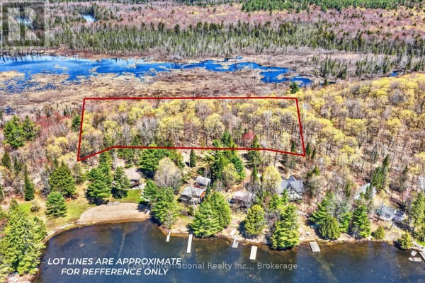 Snowy area with trees and a distant cabin partially visible. - 1165 Spring Lake Road, Bracebridge