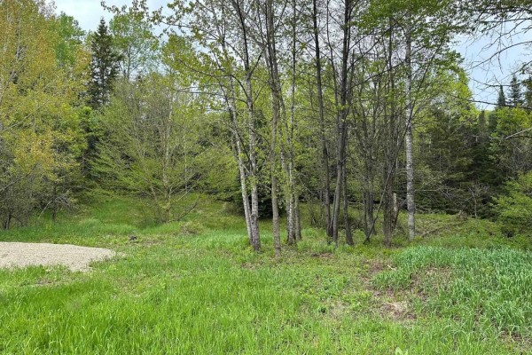 1168 Ch. Picanoc, Otter Lake, QC J0X2P0 Photo 4