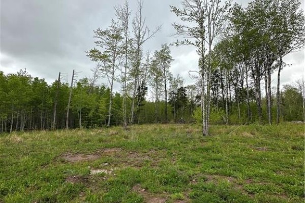 117 Alward Road, Havelock, NB E4Z5B3 Photo 4