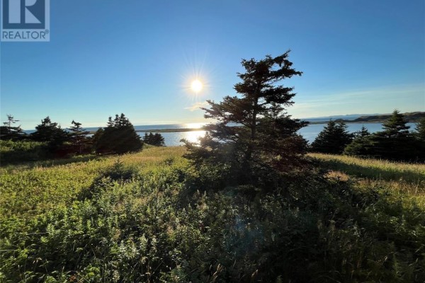 117 Cape Shore Highway, Point Verde, NL, photo 2