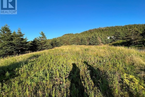 117 Cape Shore Highway, Point Verde, NL, photo 3