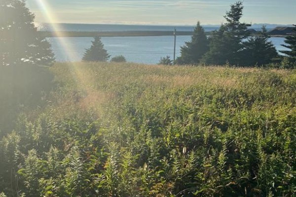 117 Cape Shore Highway, Point Verde, NL A0B2Y0 Photo 4