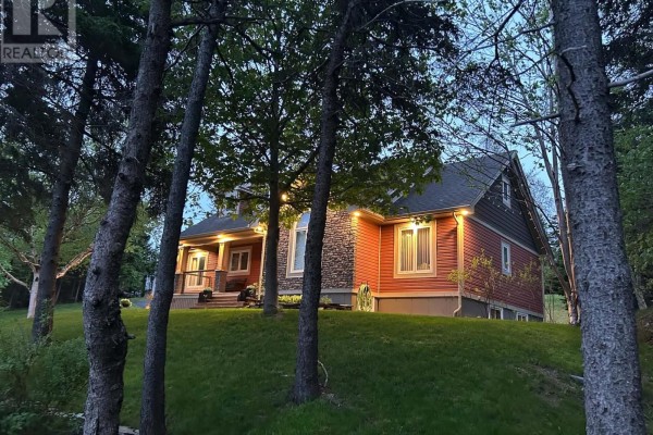 Recreation room - 117 Cross Road, Bay Roberts, NL A0A1G0 Photo 2