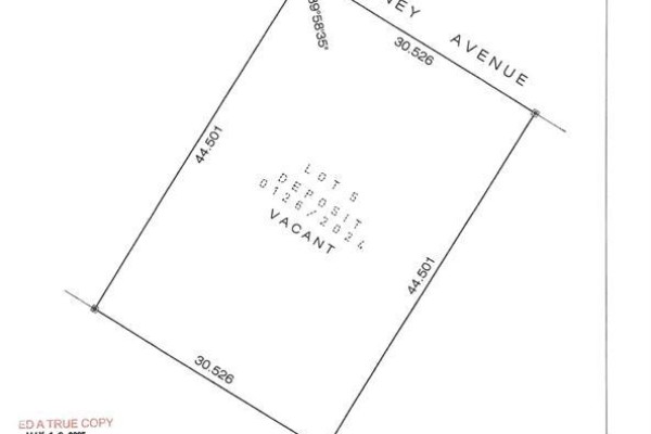 117 Goudney Avenue, Pilot Mound, MB R0G1P0 Photo 4