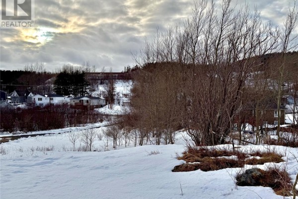 117 Marine Drive, Clarenville, NL A5A1M6 Photo 4