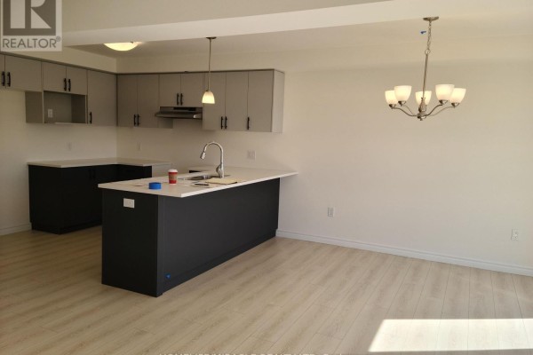 117 Mattingley Street, Brant, ON N3L2M2 Photo 5