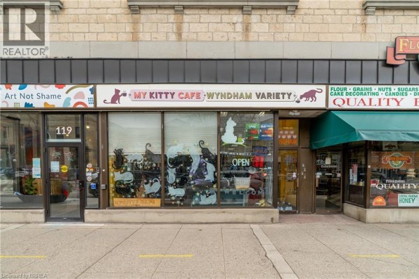 117 Wyndham Street N, Guelph, ON, photo 2