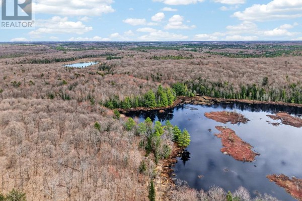 1170 Peter Road, Bracebridge, ON P1L1X3 Photo 4