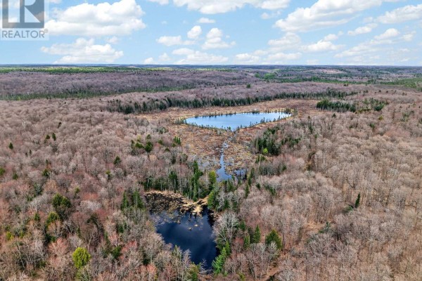 1170 Peter Road, Bracebridge, ON P1L1X3 Photo 5