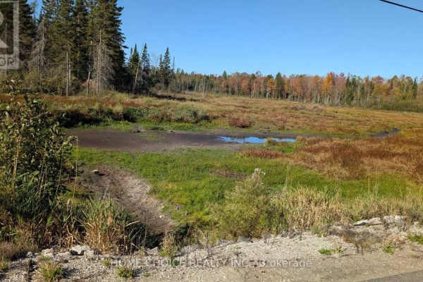 1172 Barkway Road, Gravenhurst, ON P1P1R3 Photo 5