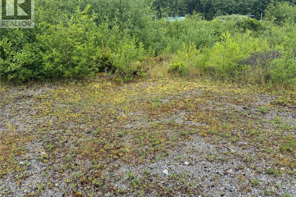 Aerial view of multiple lots with vegetation, gravel paths, and RVs. - 1174 Front St, Ucluelet