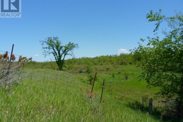1178 County Rd 121 Road, Kawartha Lakes, ON K0M1N0 Photo 2