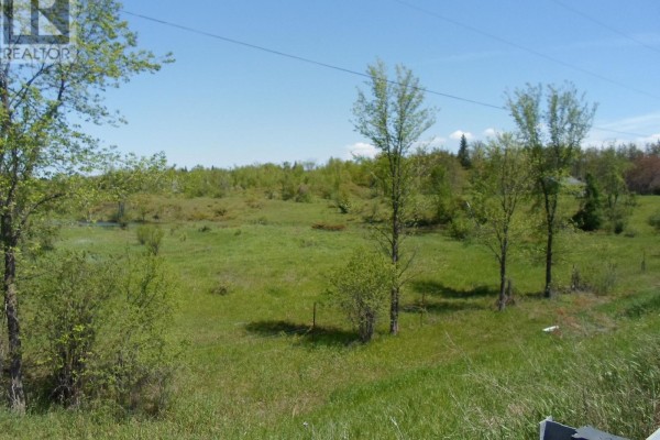 1178 County Rd 121 Road, Kawartha Lakes, ON K0M1N0 Photo 3