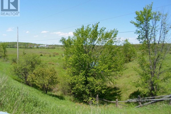 1178 County Rd 121 Road, Kawartha Lakes, ON K0M1N0 Photo 4