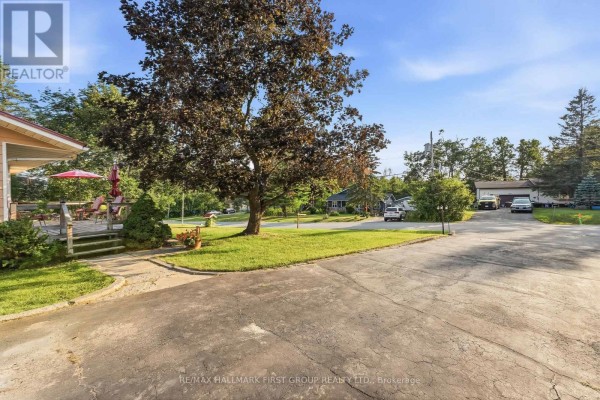 118 Alpine Lakes Road, Trent Lakes, ON K0M1A0 Photo 5
