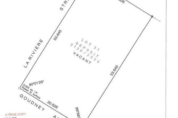 118 Goudney Avenue, Pilot Mound, MB R0G1P0 Photo 4