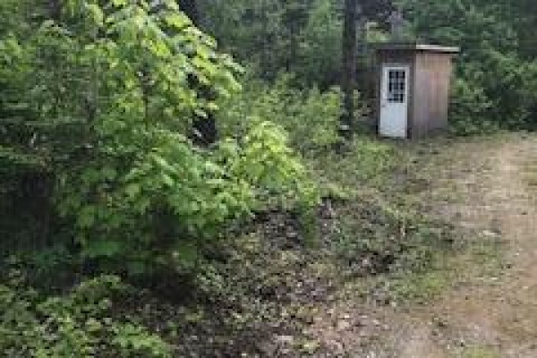 118 Pelican Harbour Road, Manigotagan, MB R3B1N3 Photo 3