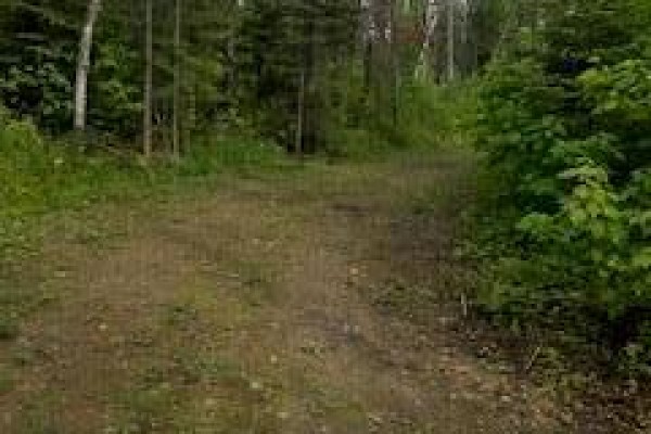 118 Pelican Harbour Road, Manigotagan, MB R3B1N3 Photo 4