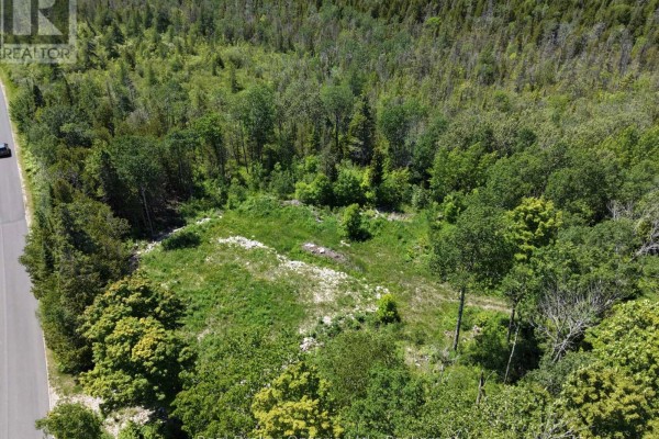 118 Tamarac Road, Northern Bruce Peninsula, ON N0H1W0 Photo 5