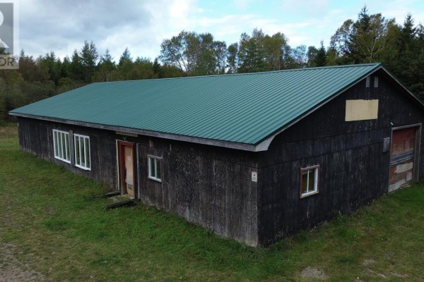 1181 395 Highway, South Lake Ainslie, NS B0E3M0 Photo 3