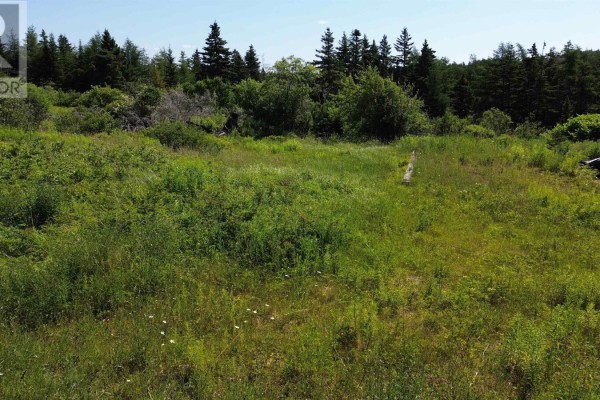 1183 Fourchu Rd, Gabarus Lake, NS B1K2E1 Photo 3