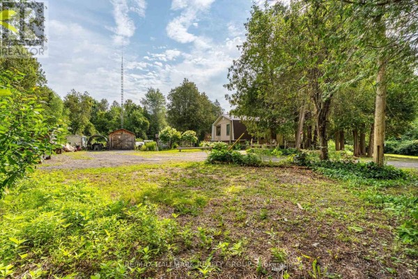 Open green space with scattered trees and outbuildings on a bright day. - 1184 Derry Side Road, Beckwith