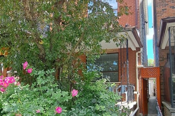 Kitchen - 119 Major Street, Toronto, ON M5S2K9 Photo 3