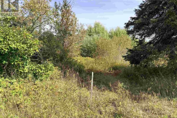11934 Highway 17, Thessalon, ON P0R1L0 Photo 2