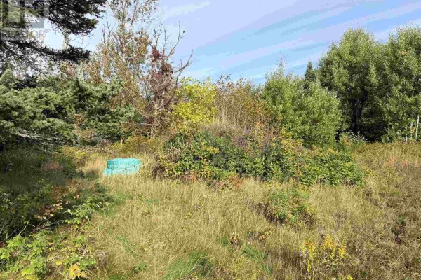 11934 Highway 17, Thessalon, ON P0R1L0 Photo 4