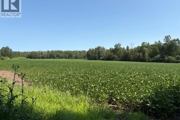1194 Concession 14 W, Teeswater, ON, photo 2